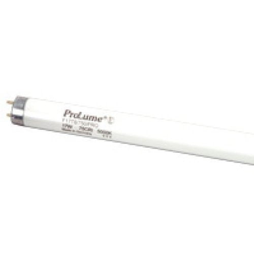 6 Qty. Halco F14 T8 Cool White ProLume F14T8CW 14w Linear Fluorescent Preheat Cool White Lamp Bulb