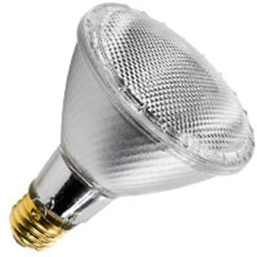 10 Qty. Halco 60W PAR30L FL 120V E26 Silver HaloXen HP30FL60L/S/HX 60w 120v Halogen Flood Long Neck Lamp Bulb