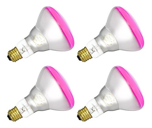 4 Qty. Halco 65W BR30 DPNK 130V 5M Prism BR30DPNK65/5 65w 130v Incandescent Dawn Pink Prism Lamp Bulb