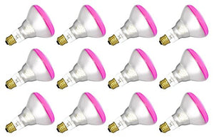 12 Qty. Halco 65W BR30 DPNK 130V 5M Prism BR30DPNK65/5 65w 130v Incandescent Dawn Pink Prism Lamp Bulb