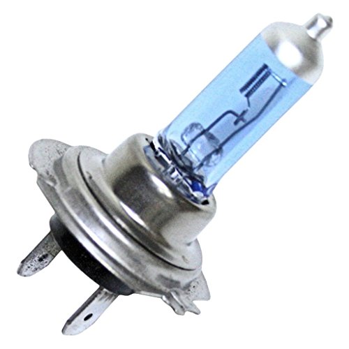 Eiko H7100-SUPER White T4-5/8 PX26D Base HID Performance Halogen Bulb, 12V/100W